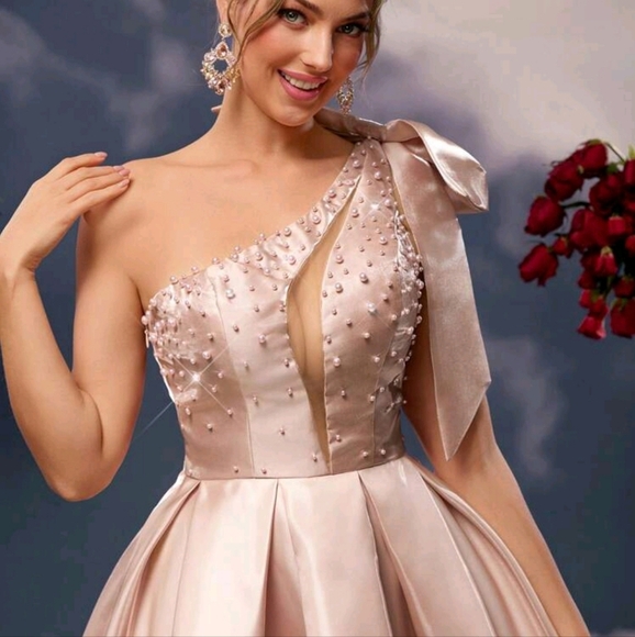 Elegant Champagne Shiny Satin Shoulder Bow Decor Front Mesh Cutout Luxury - Picture 4 of 4